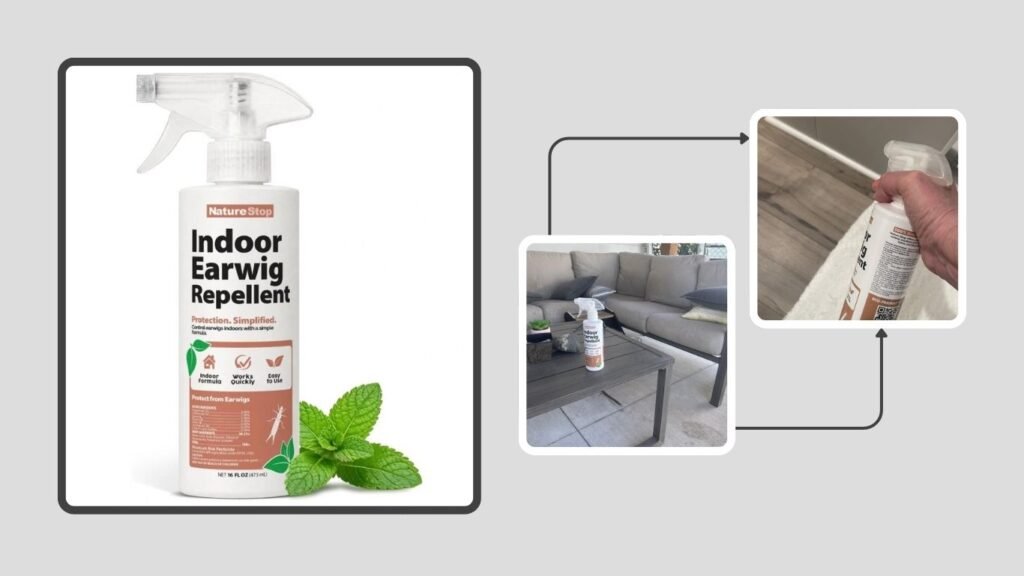 NatureStop Indoor Earwig Repellent Spray