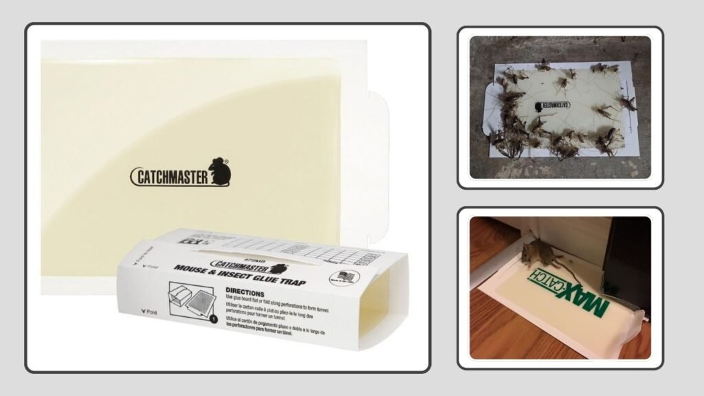 Catchmaster Mouse & Insect Super Glue Traps