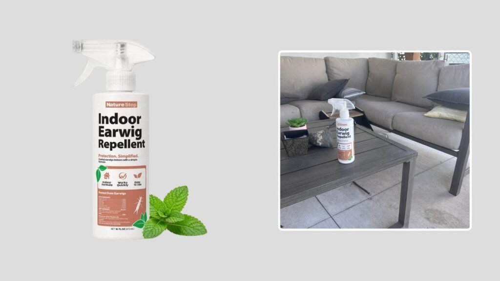 NatureStop Indoor Earwig Repellent Spray