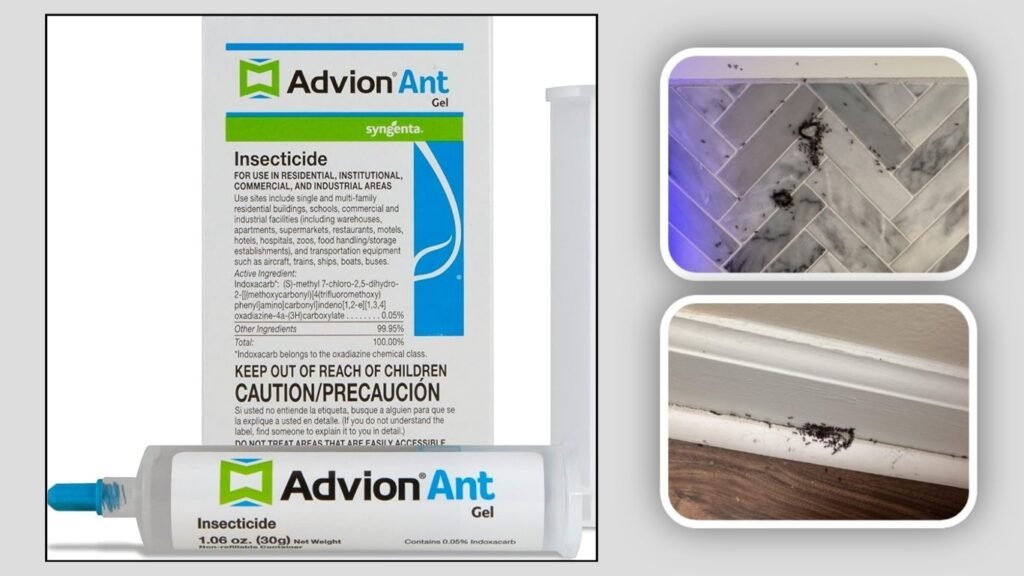 Syngenta Advion Ant Gel Syringes