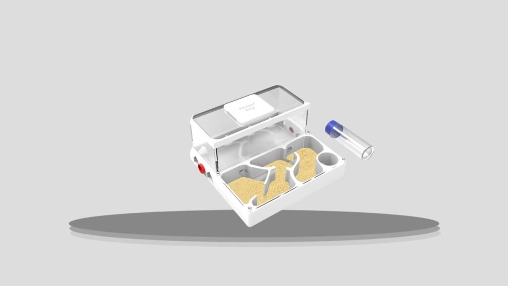 PioneerAnts Transparent Ant Farm Kit – Model B