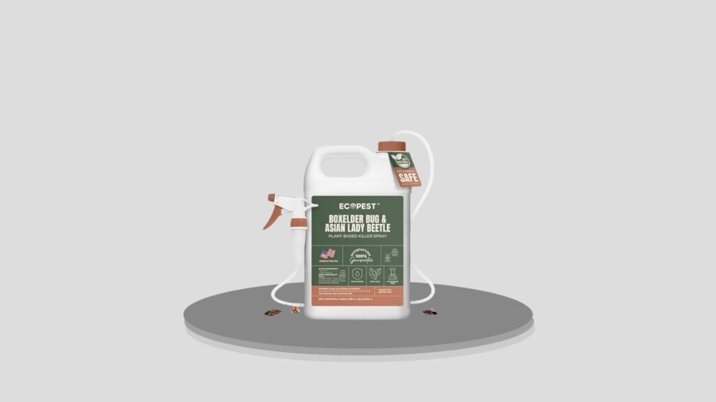 Boxelder Bug & Asian Lady Beetle Spray
