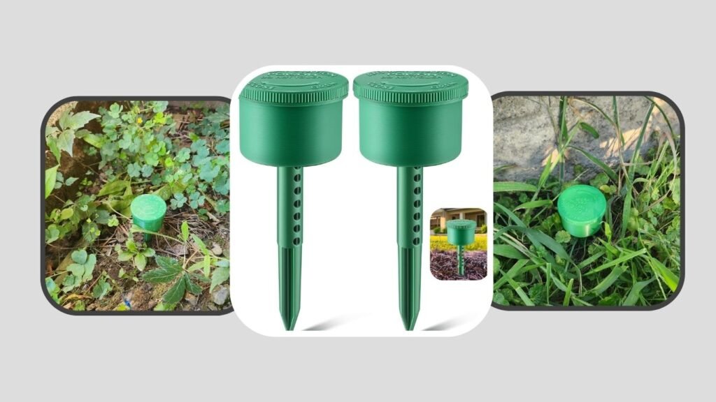  Qualirey Reusable Multi-Surface Ant Bait Stations