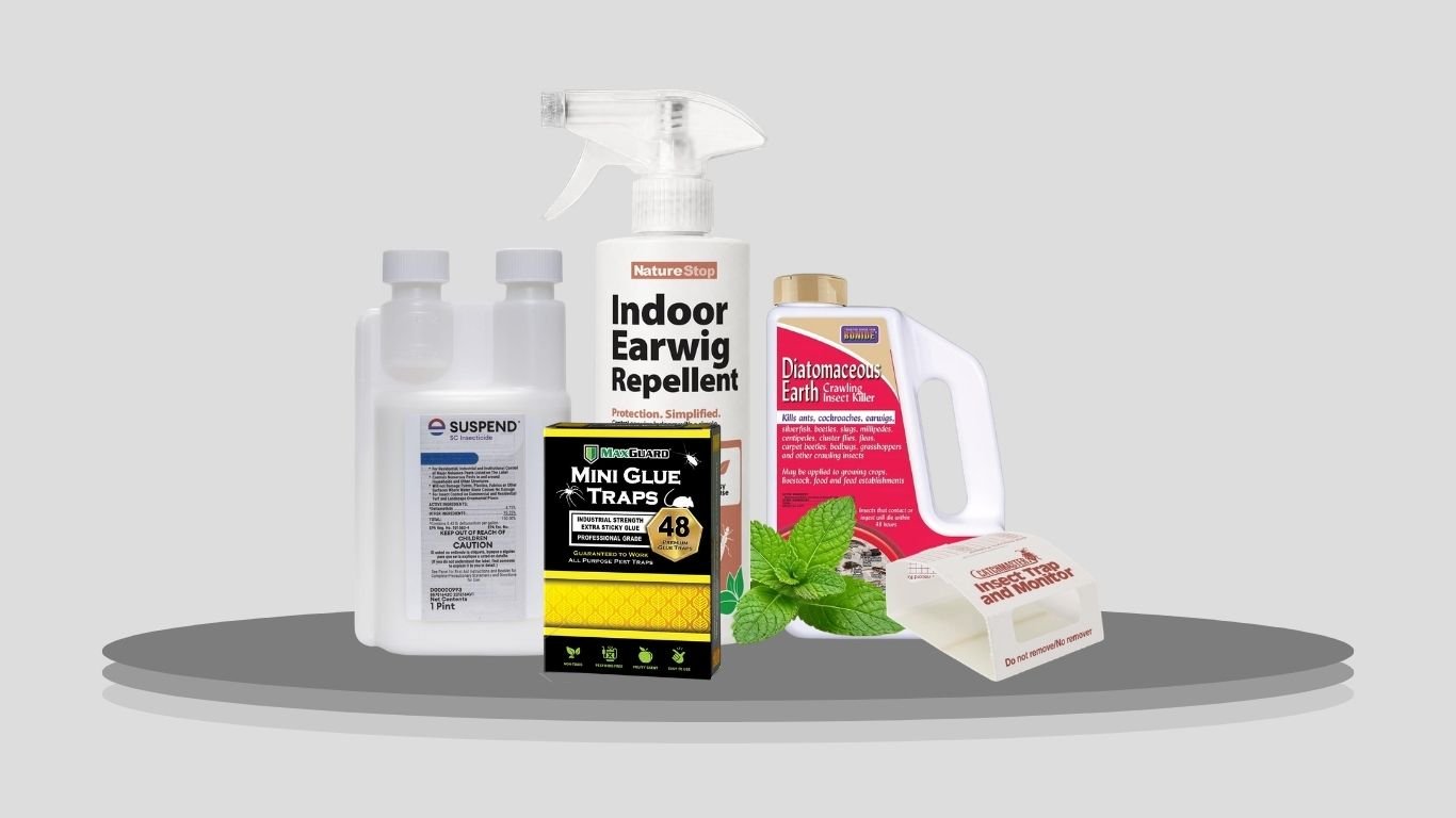 Top 10 Best Earwig Sprays for Fast and Effective Control