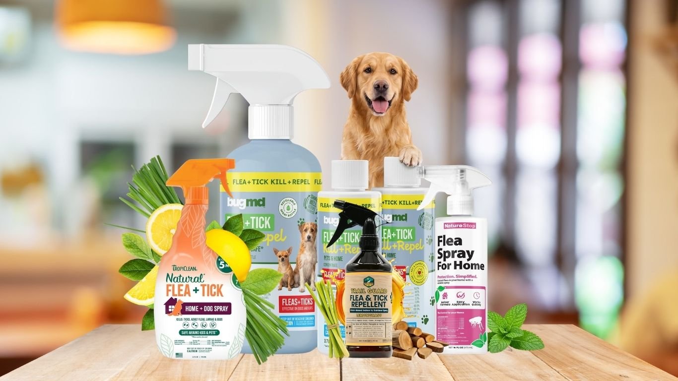 9 Best Flea Sprays for Dogs for Fast and Effective Protection